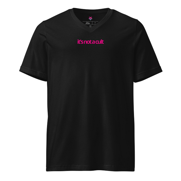 "It's Not a Cult" V-Neck Tee product image (1)