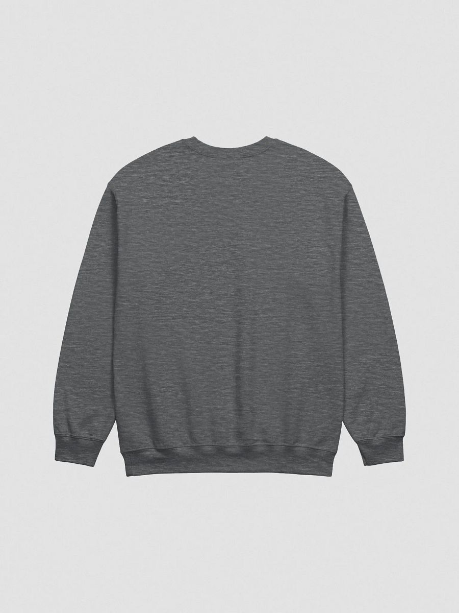 Read Good Books | Embroidered Crewneck product image (3)