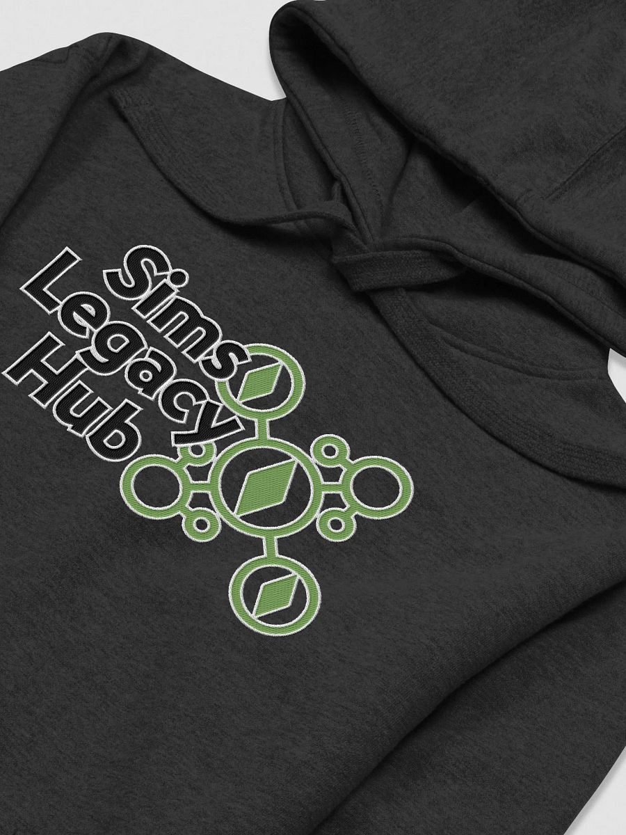 Embroidered Hoodie product image (27)