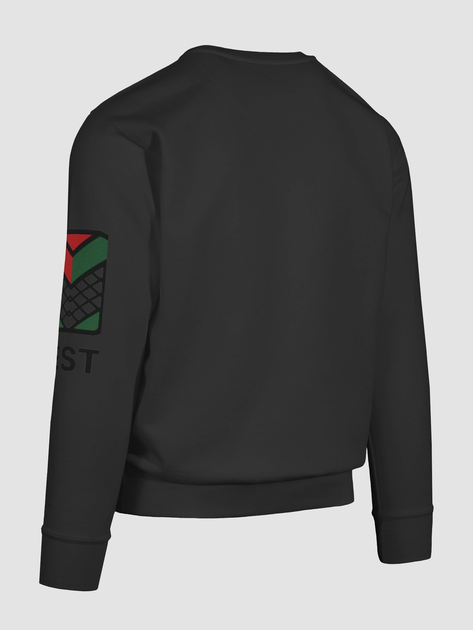 Palestine Pride Premium Sweatshirt product image (12)