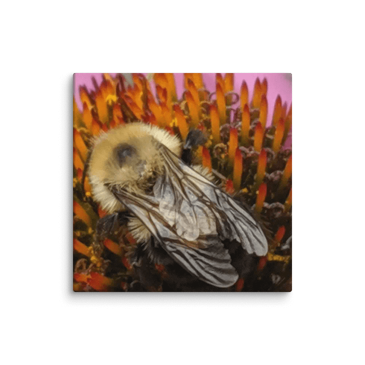 Bumble Bee product image (7)