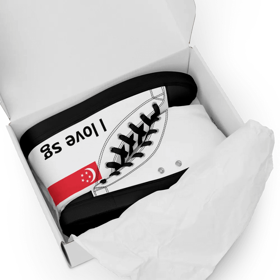 Singapore product image (10)