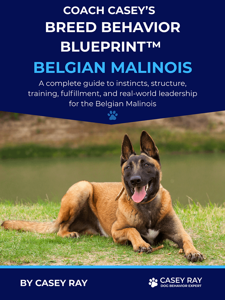 Coach Casey’s Breed Behavior Blueprint™ - Belgian Malinois product image (1)