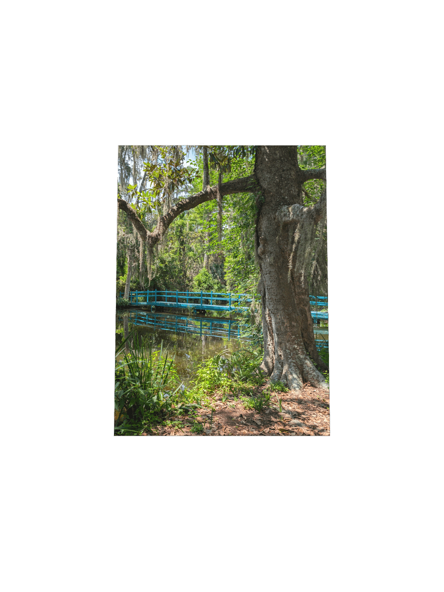 Magnolia's Green Bridge Poster product image (36)