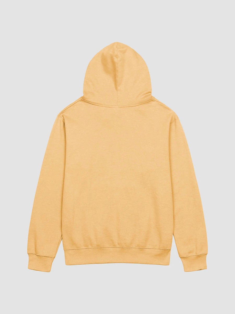 2 Live & die in la Hoodie product image (3)