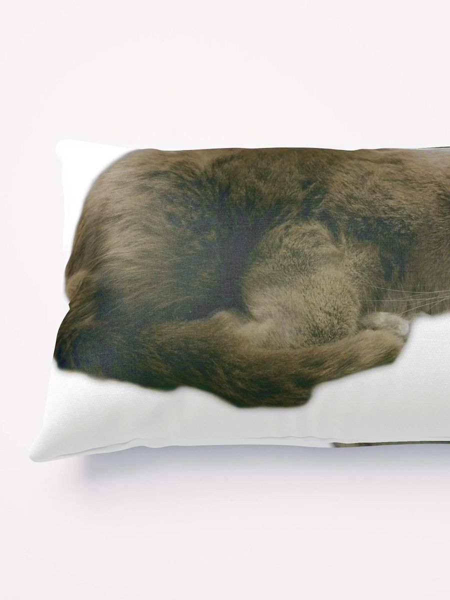 Smokey & Zoey Sleepy Pillow product image (3)