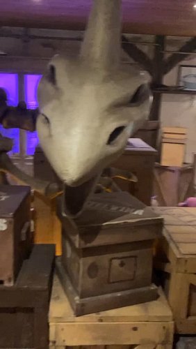 👵 ✨

Hoy conocimos a Madame Freudenreich en el @europapark en Alemania.

Una adorable anciana que cría dinosaurios en su jard...