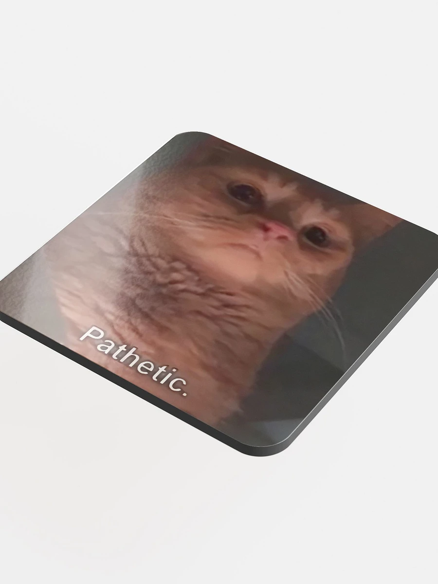 Glossed Cork Coaster: Meme Cats product image (4)