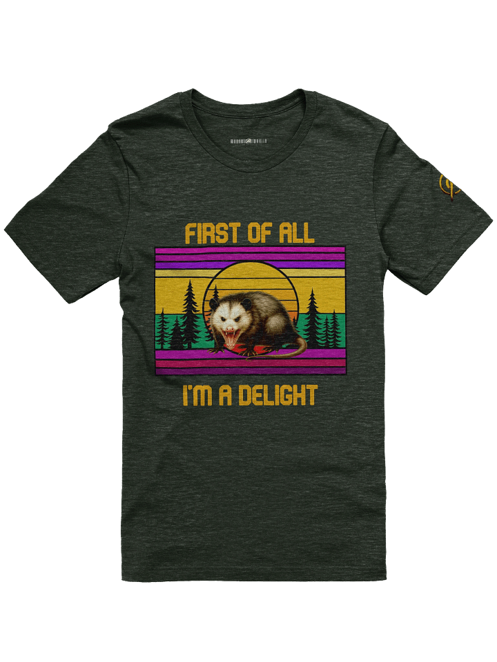PASP Possum “I’m A Delight” Tee – Fall Edition product image (6)