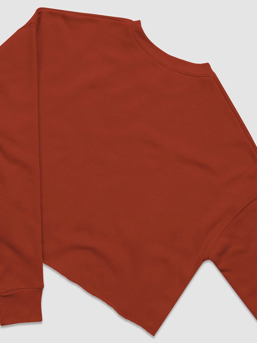 Seasonal Depression Cinnamon Crop Crew Neck product image (15)