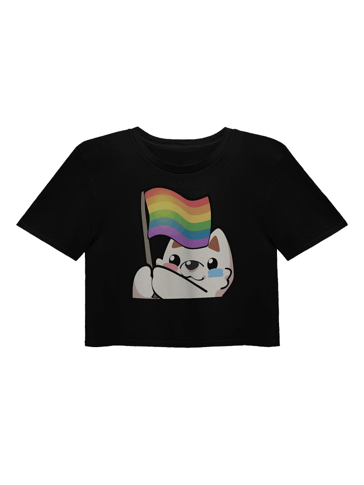 Rainbow Pride Flag Crop Top product image (2)