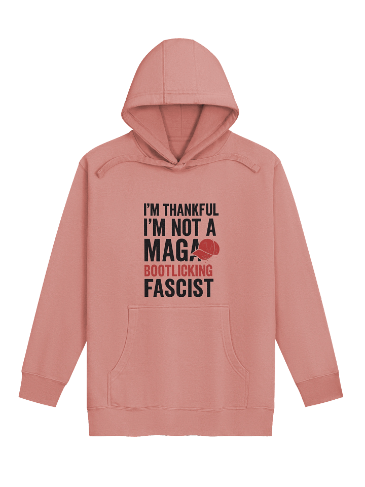 Not a Maga Bootlicking Fascist Hoodie product image (3)