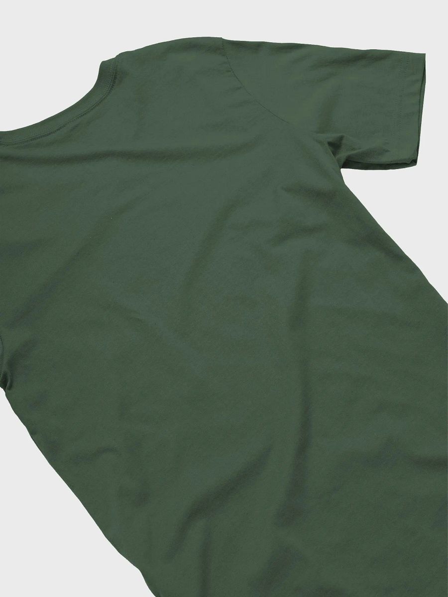 It's the Chronic Illness Shirt product image (51)