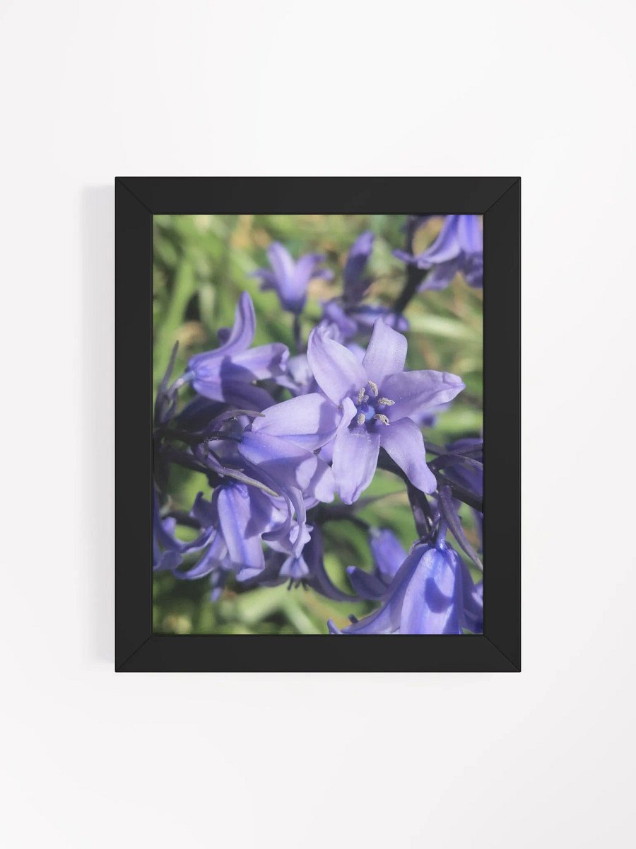 Framed Bluebell Print, Floral Art, 8x10 or 16x20