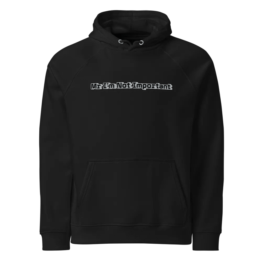 Unisex Eco Raglan Hoodie - Mr I'm Not Important product image (3)