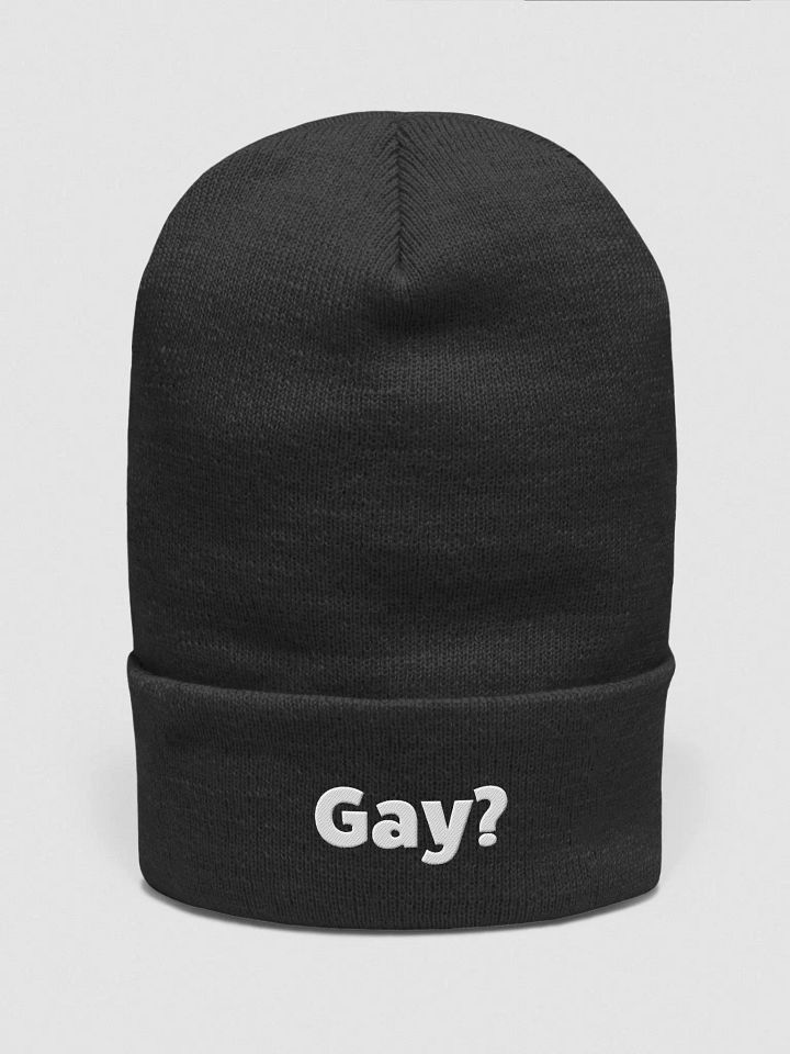 Beanie | Gay? product image (1)