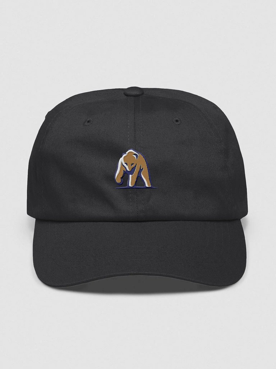 Papa Bear Dad Hat product image (1)