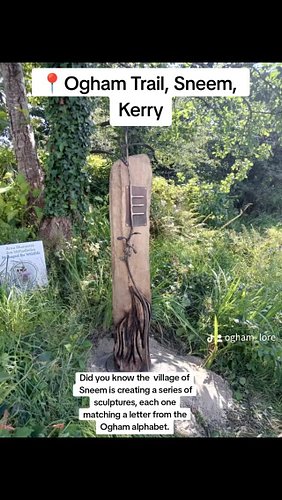 Discover Ireland’s ancient writing system on the Ogham Trail in Sneem! 🌿  The village of Sneem are creating a unique trail wh...