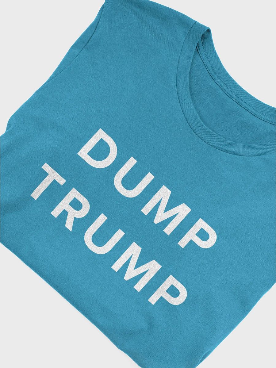 Bold Statement Tee - DUMP TRUMP product image (45)