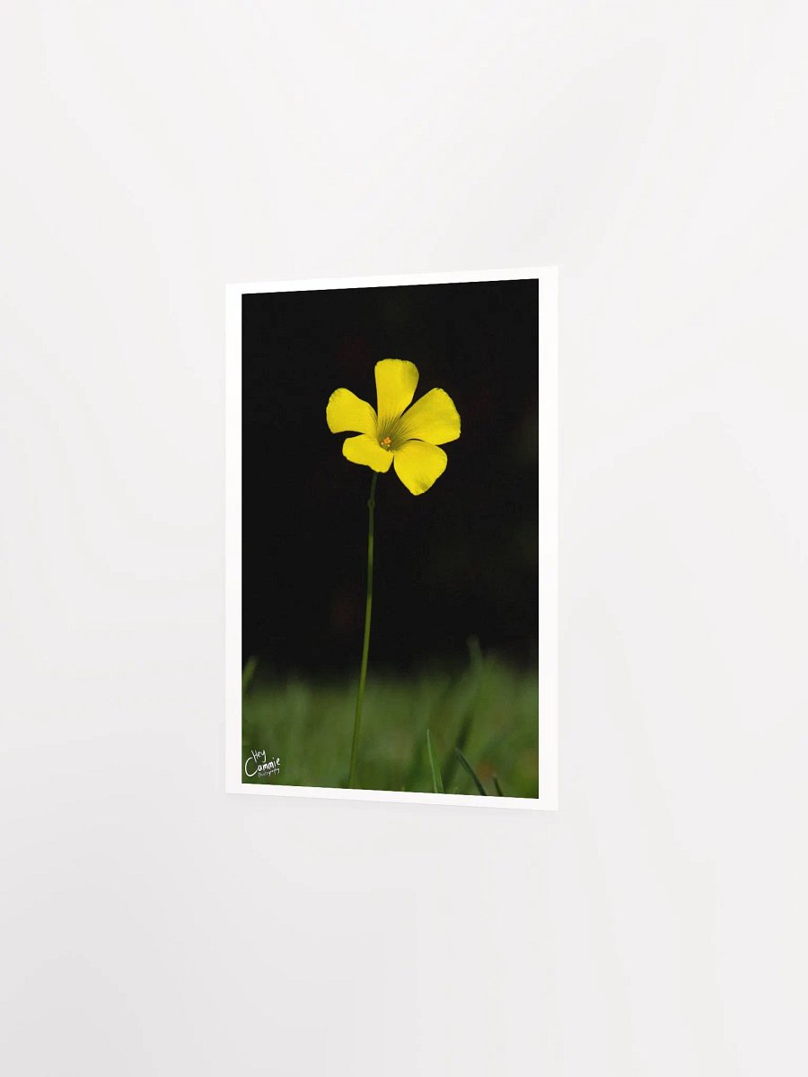 Life - Print product image (2)