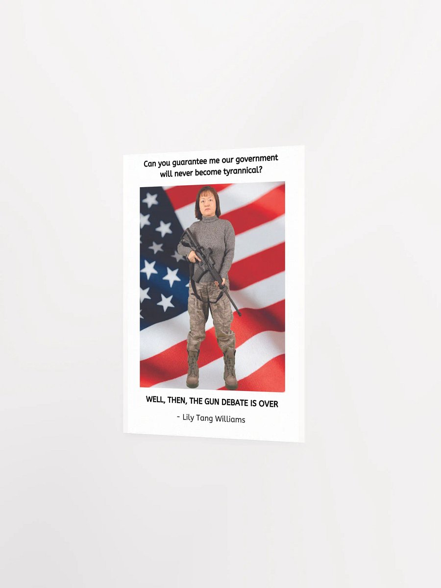Lily's AR-15 product image (7)