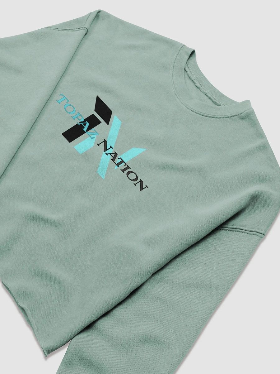 Topaz Nation Cropped Crewneck product image (4)