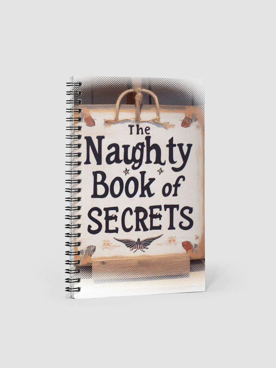 Naughty Book of Secrets product image (1)