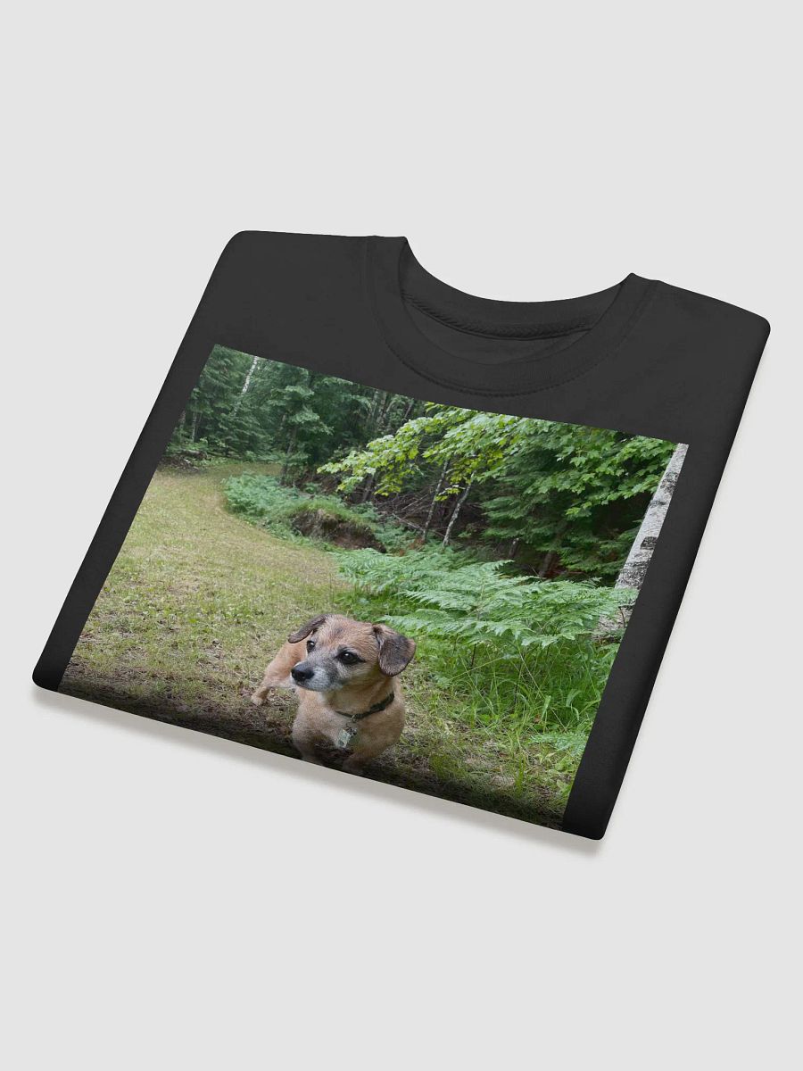 Rocky Sweatshirt product image (4)