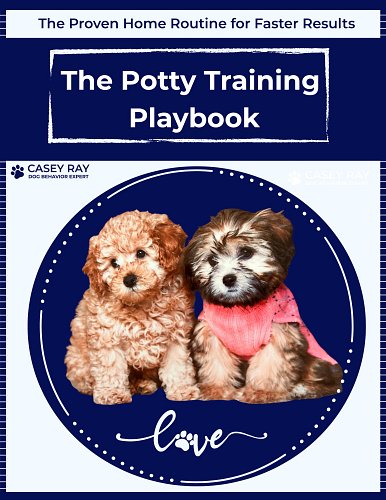 🚨 Potty training driving you crazy? 

I made this for you.

If your puppy is still having accidents, missing the mark, or tot...
