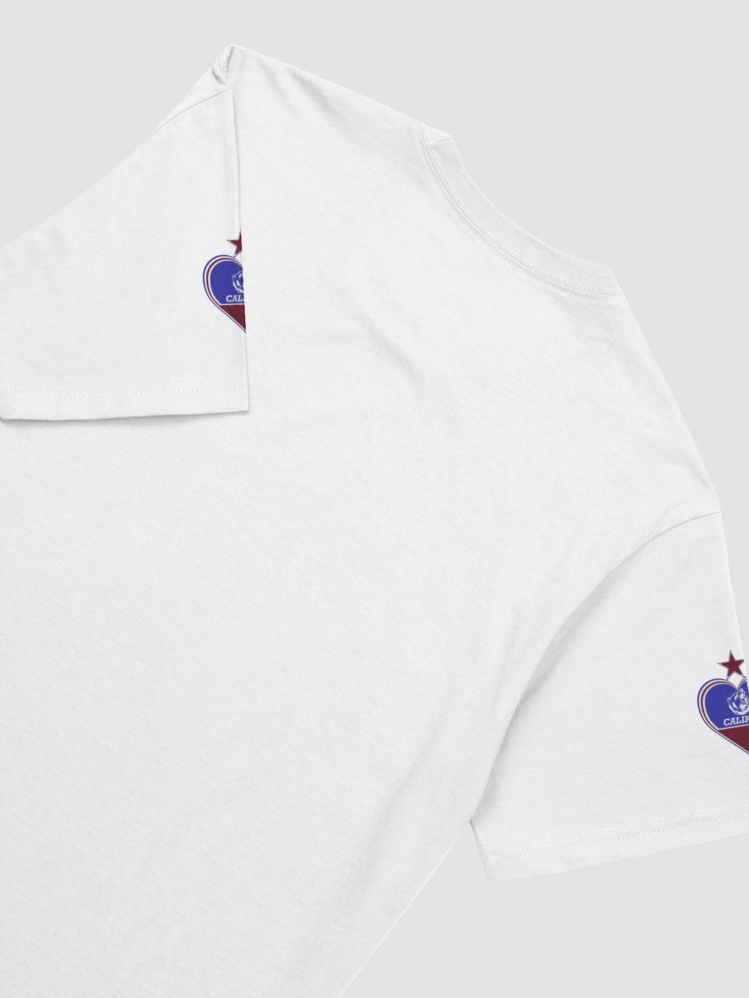 All Hail Turner T-shirt product image (4)