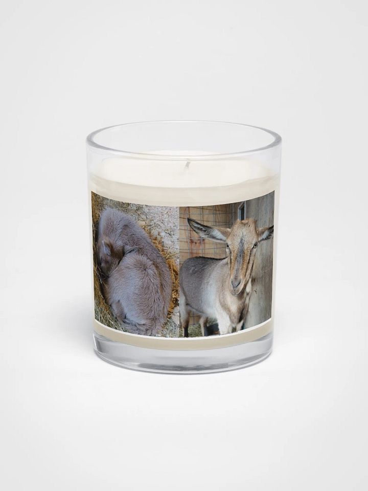 Kiwi - Newborn & Now candle product image (1)