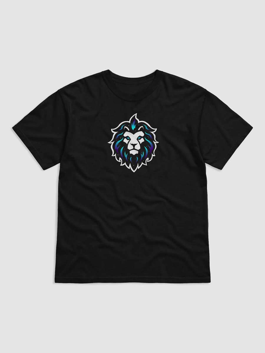 Sandromeda Relaxed Tee product image (1)