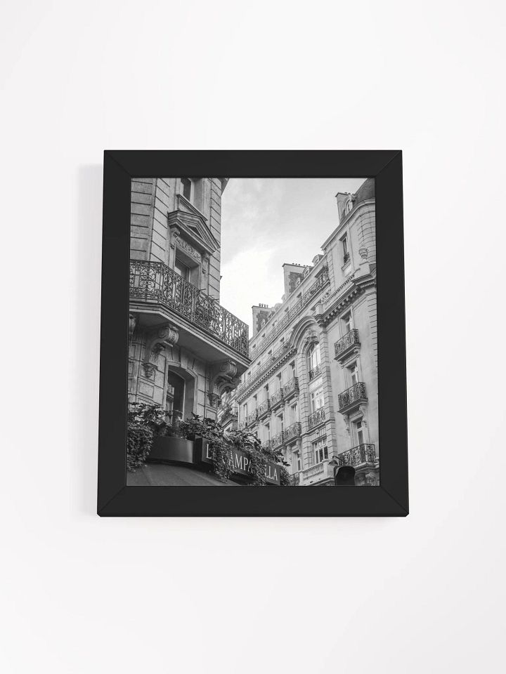 Haussmann Paris - Black & White product image (3)