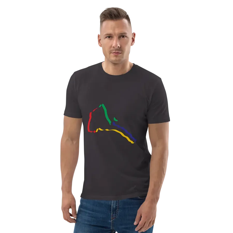 Chromatic Lines Organic Cotton T-Shirt product image (138)