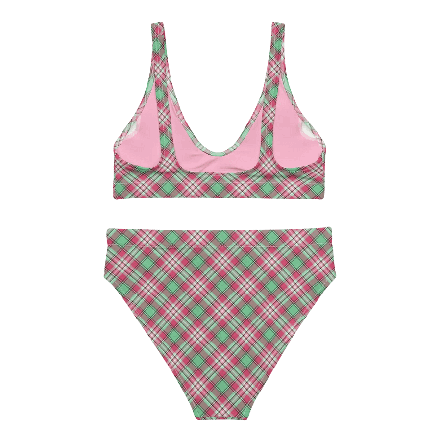 Mint Green and Pink Plaid Bikini product image (4)