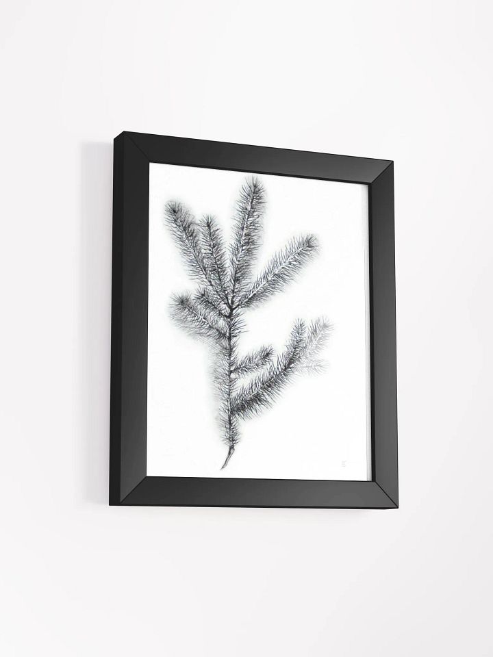 Botanical Bliss Framed Matte Poster - Spruce Branch product image (5)