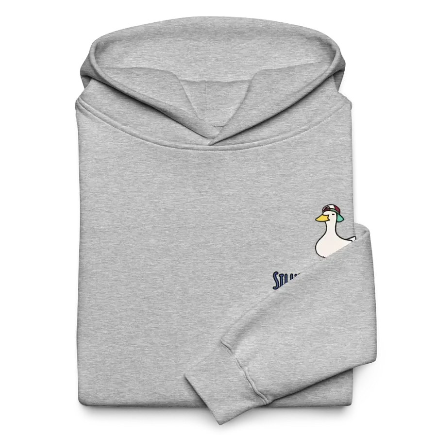 Silly Goose Hoodie product image (10)