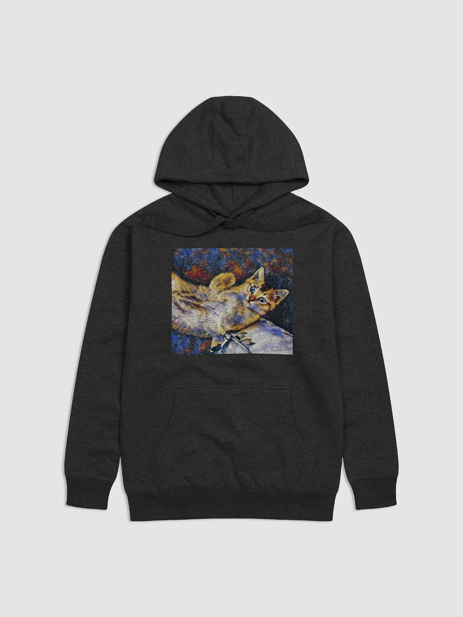 Toby's Signature Hoodie product image (4)