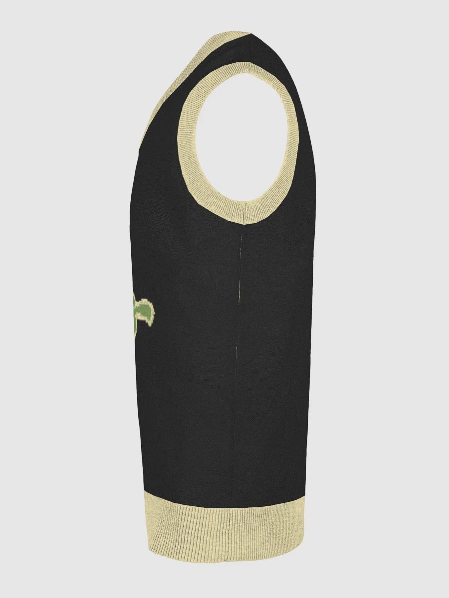 604 Vibes Knitted V-Neck Vest product image (29)
