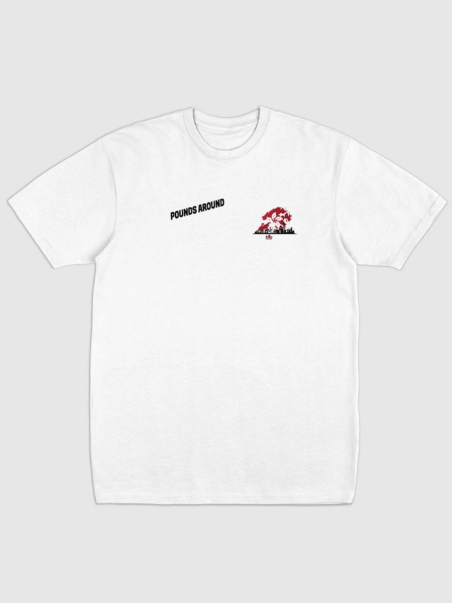 POUNDS AROUND HONG KONG SHIRT product image (1)