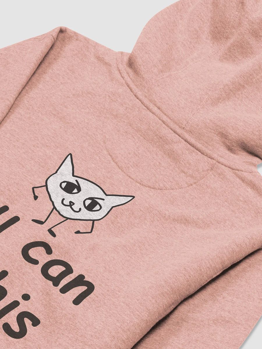you can do this Unisex Premium Hoodie product image (10)
