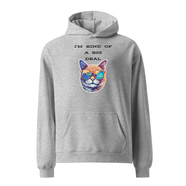 I'm kind of a big deal Unisex Premium Oversized Hoodie product image (3)