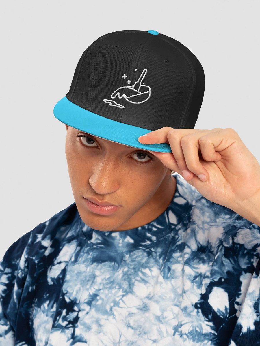 The Amateur Embroidered Snapback product image (5)