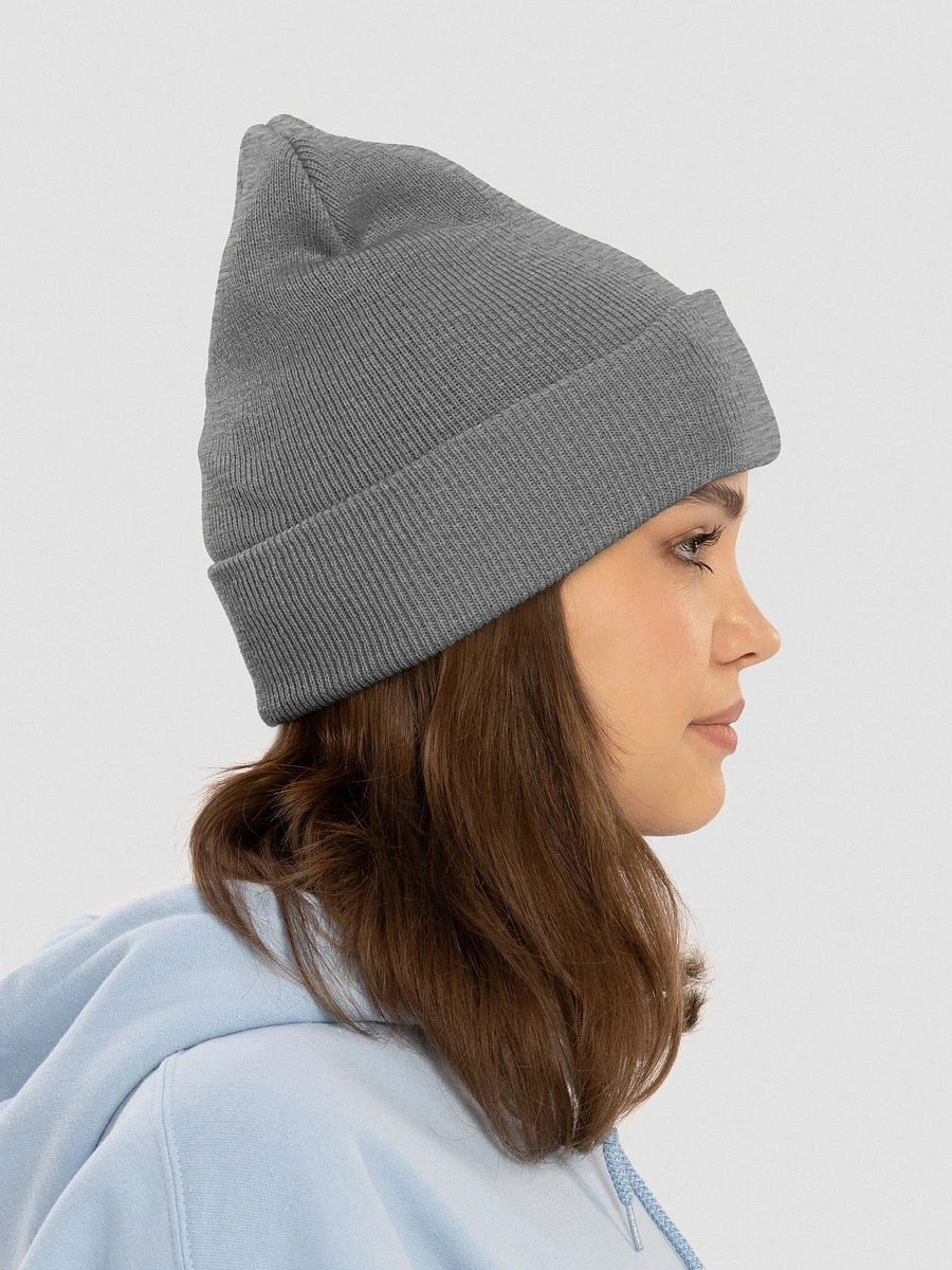 Yupoong Cuffed Beanie: Sphynx product image (25)