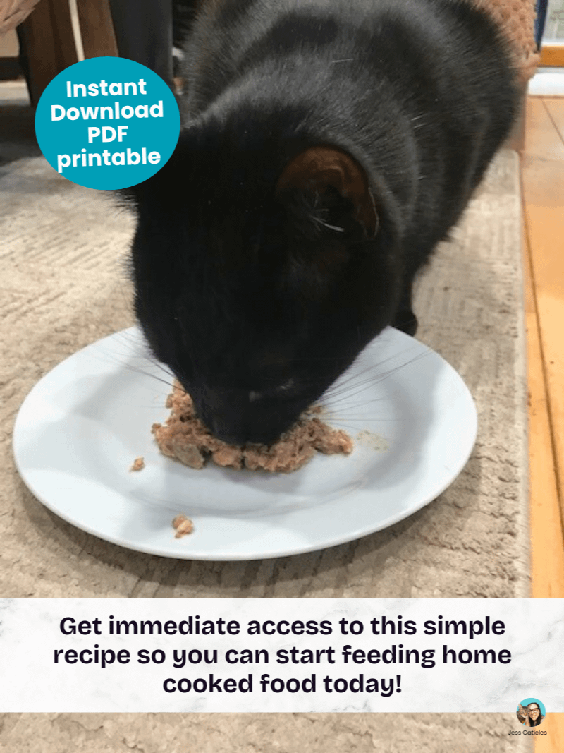Cooked beef cat food recipe ~ 1 recipe for adult cats product image (11)