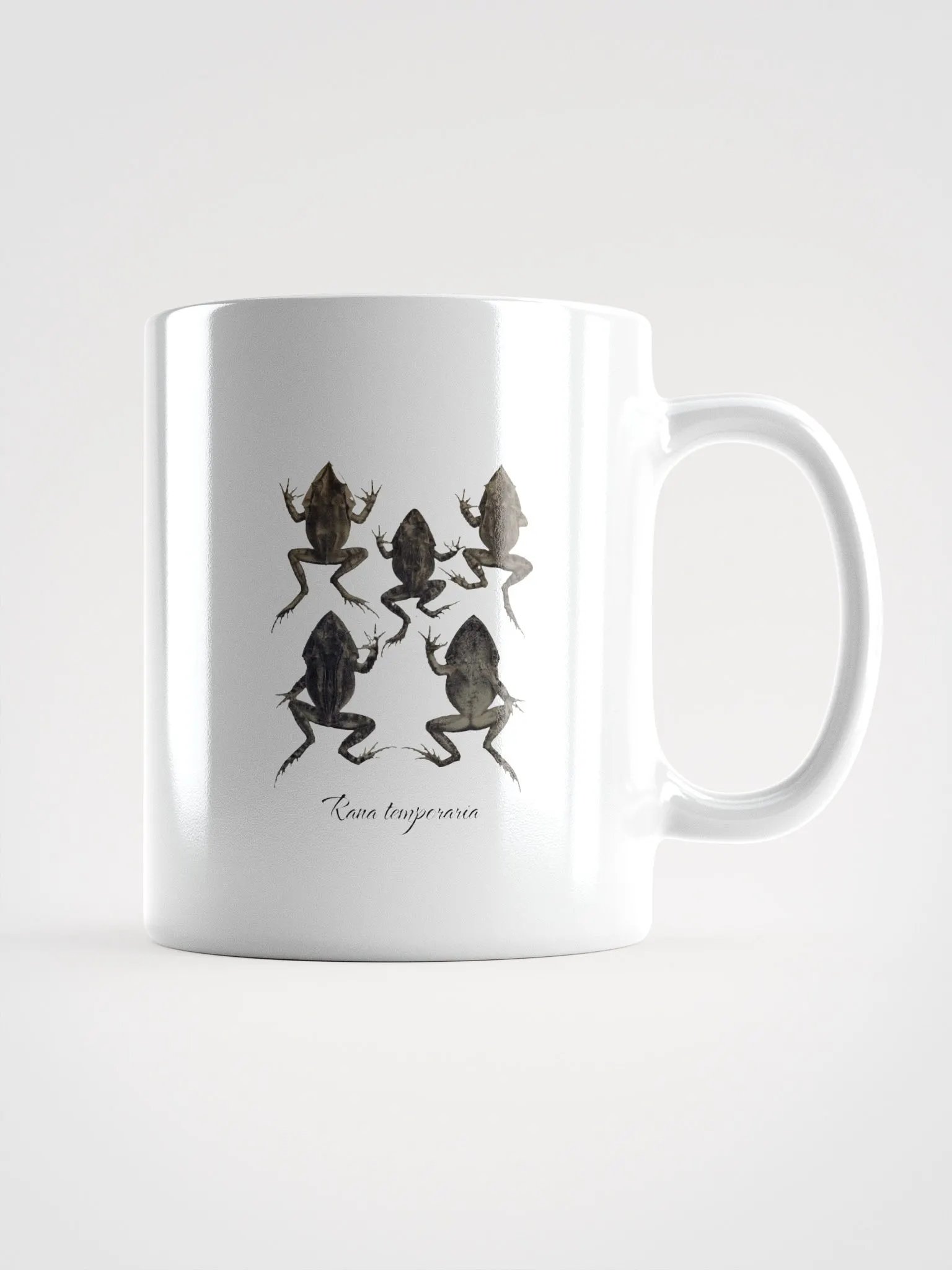 Rana Temporaria - Vintage Frog Design product image (2)