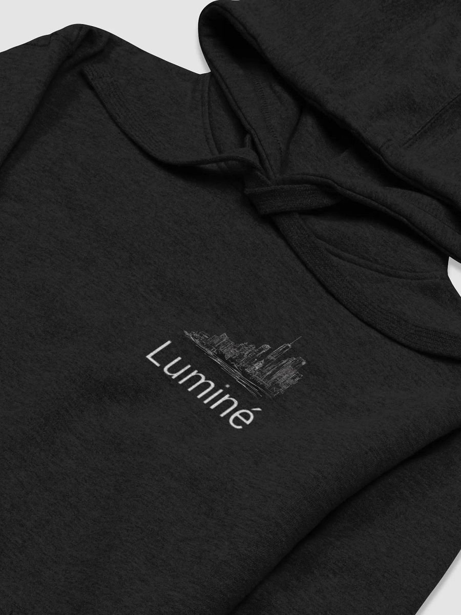 Luminé Dark Cotton Heritage Premium Hoodie product image (3)