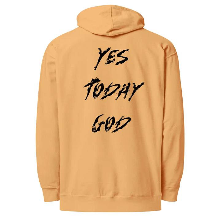 The Lives On HIGH | YTG STEALTH | UNISEX Hoodie | Peach product image (2)
