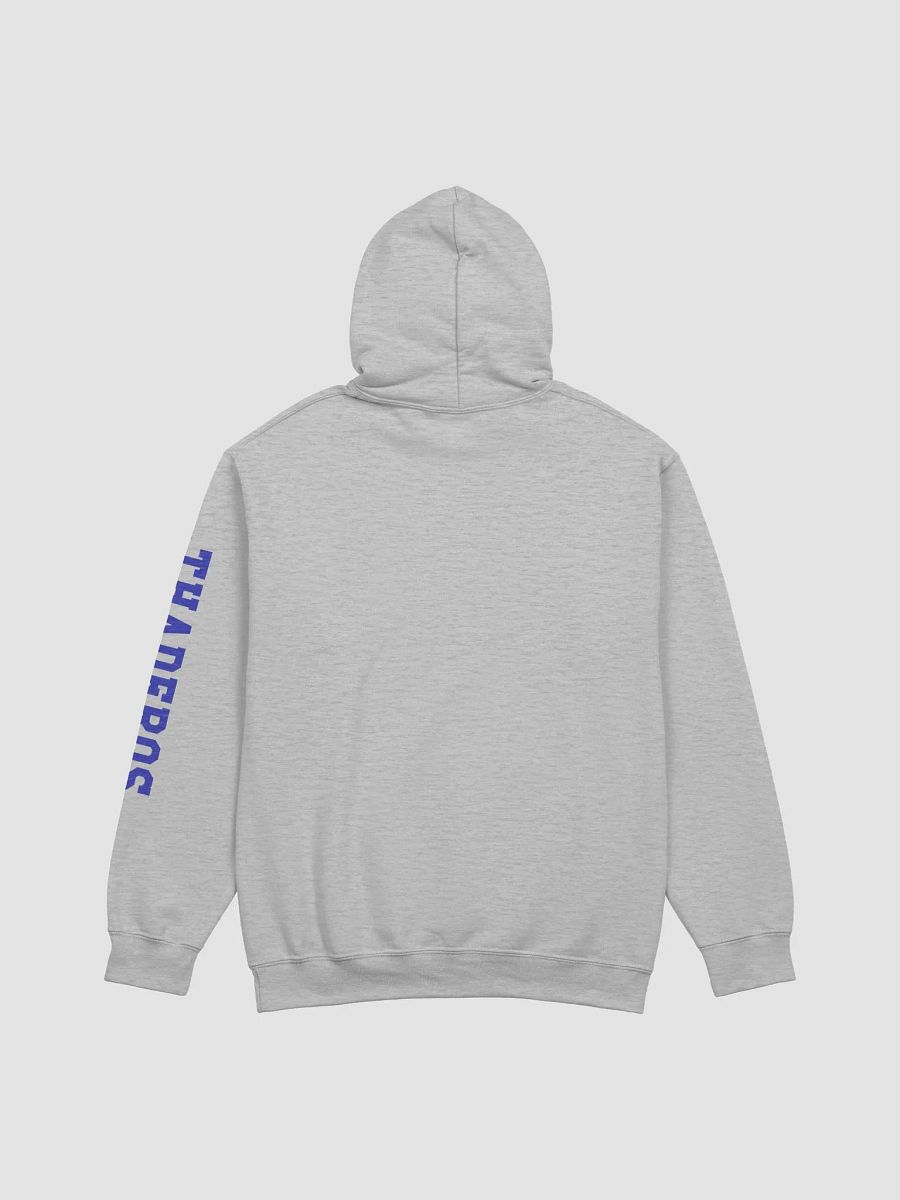 Grey Hoodie product image (4)