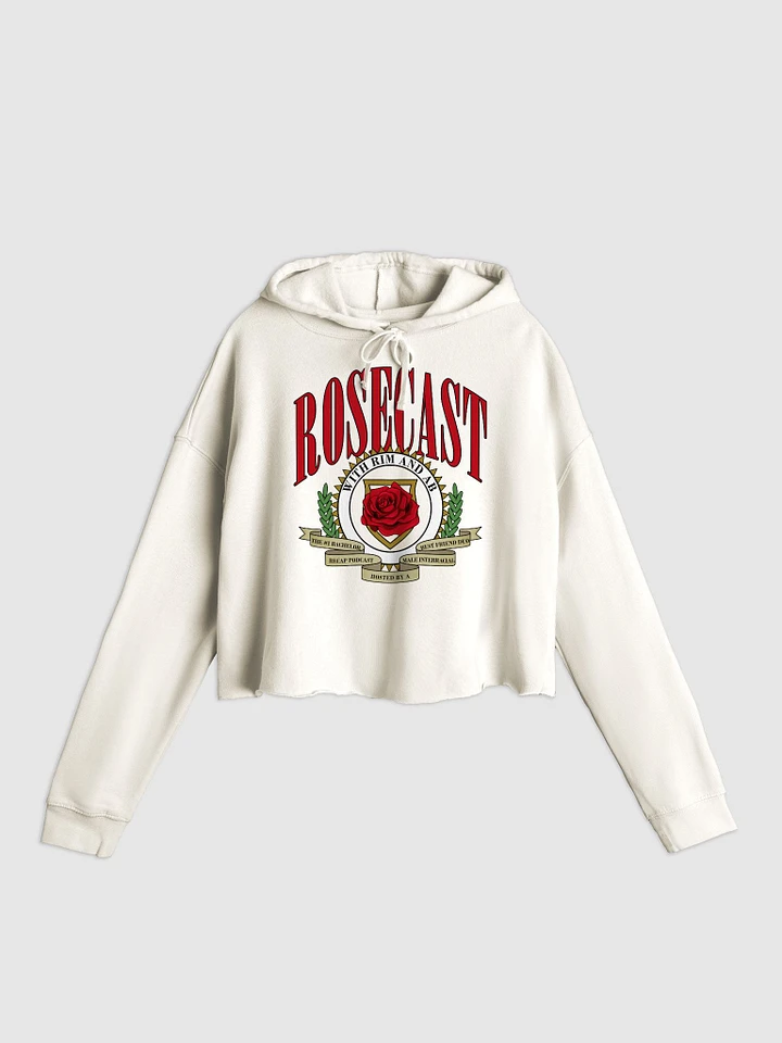Vintage University Lightweight Cropped Hoodie product image (1)
